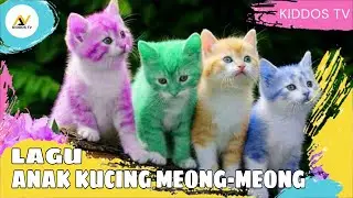 ANAK KUCING MEONG MEONG | ANAK KUCING LUCU | Lagu Anak Indonesia Populer
