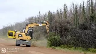 Green Industries SA: Bushfire clean-up. Tree removal on Kangaroo Island, 2020