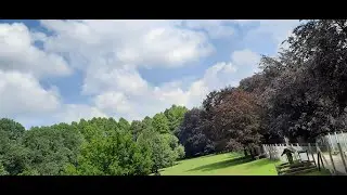 7 Minuten Wald (im Tierpark)