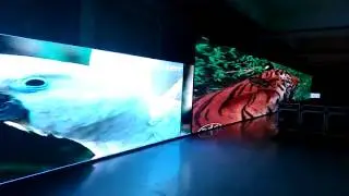 Outdoor P 4.81  LED display(500 sqm)-Royal Display