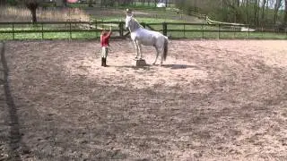 Los spelen met paard en podest