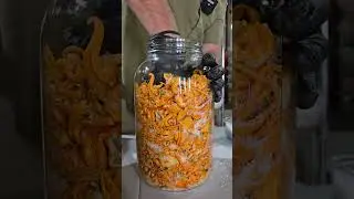 Cordyceps Sauce! #mushroom #cordyceps #mushroomrecipe #mycology