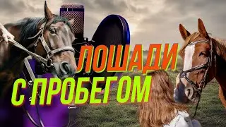 Конец карьеры или билет в жизнь? | Подкаст на ОТС &mdash; 22 января