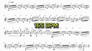 2025 R20 MS Mallet Etude