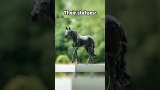 Legends never die ❤️🌠 #legends #besthorses #statues #royalty #memories