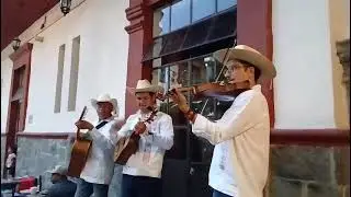 Son de costumbre: El Maíz