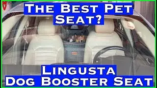 The Best Pet Seat? Lingusta Dog Booster Seat || MumblesVideos Product Review