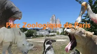 Ein Besuch im Parc Zoologique de Paris 🇫🇷 | Zoobesuch #2