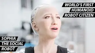 Sophia | The World's First Robot Citizen | AI Humanoid Social Robot With Up To 60 Facial Expressions