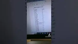 basic Arabic verbs