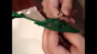 Episode 80 - Green Spotted Puffer Teeth Trim Narrated Version