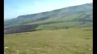 black mamba in glynde - a short film by kellie murray