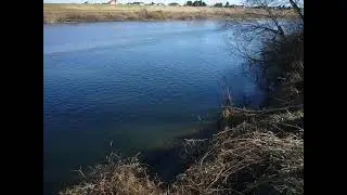 木々の向こうに見える碧い水面を眺めに行く