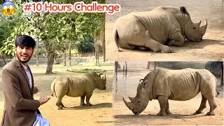 10 HOURS CHALLENGE WITH GANDA 😱