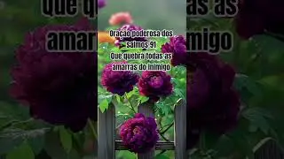 ORA&Ccedil;&Atilde;O PODEROSA SALMOS 91 que #quebra todas as #amarras do #inimigo#salmos91 #deusnasuavida #ora&ccedil;&atilde;o
