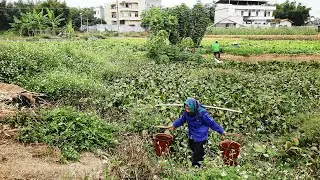 How 90-year-old Elderly Survival in Rural Village in South China? Guangxi Province
