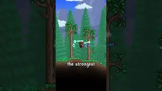 The Best Magic Weapons In Terraria. #terraria