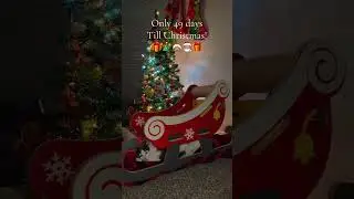He loves sleeping under his small Christmas tree! #fok #catchristmas