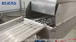 PE/PP/ABS Flake Cold strand Pelletizing Line 100-1,000kg/h