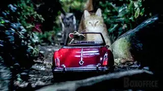 スチュアート・リトル VS キャッツ セントラルパークチェイス | スチュアート・リトル | 映画シーン