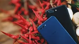 Honor View 10 vs OnePlus 5T Camera Comparison - Yin & Yang