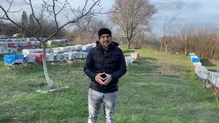 Arı b&ouml;lmek i&ccedil;in en uygun hangi aylar