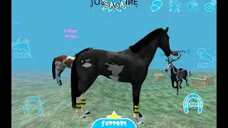 Вечерний Хилл, Hill Cliff Horse.