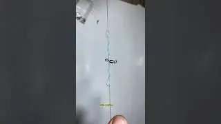 THE BEST IDEA FOR FISHING #shortvideo #fishingtutorial #diyknot #fishingknot #fishingidea