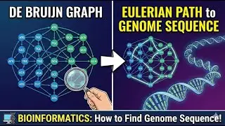 De Bruijn Graph and Eulerian Path | How to Find Genome Sequence | Bioinformatics Bangla Tutorial