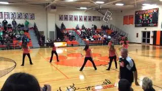 Springfield Tiger Danceline #3