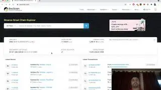 BSC - Token Ownership Renounced  - Is it Safe to buy?