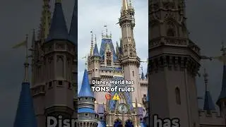 Rules People Break ALL THE TIME in Disney World 🚫