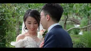 Wellington Wedding videography: Melissa and Andrew romance