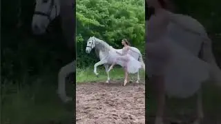 🔴  🐎 The beauty of the soul - PO Horses