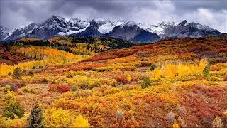 Paul Mauriat;  Inch Allah