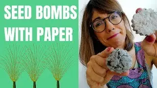 Seed bombs diy - seed bombs with paper