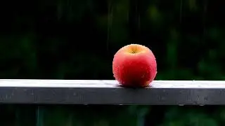 Apple in the Rain 🍎🌧️ &ndash; Relaxing Loop Video