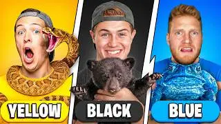 We Adopted Animals in One Color!