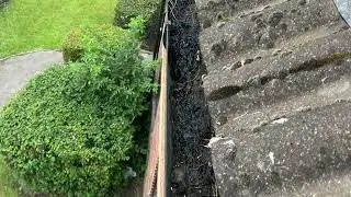 Professional gutter cleaning in Brent Cross