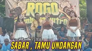 All Artise 1289 - TAMU UNDANGAN Lagu Djandut Cover Rogo Samboyo Putro Terbaru
