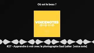 #27 - Apprendre &agrave; voir avec le photographe Saul Leiter [voice note]