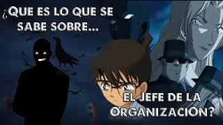 Teoría | ¿QUÉ es lo que se sabe del JEFE de la ORGANIZACIÓN?