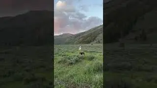 Video of Lake Creek Rd Dispersed, ID from Bethany W.
