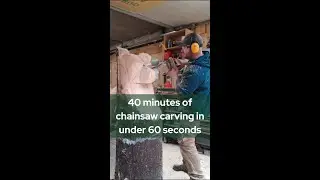 40 minutes of chainsaw carving in under 60 seconds!