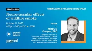 Neurovascular effects of wildfire smoke