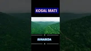 Sunabeda❤️Natural View🔥Wildlife Sanctuary🔥#shorts #sunabeda #nature #wildlife #viral