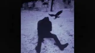 (free) alternative indie rock + post punk type beat ~ 