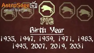 Chinese Horoscope 2017 in 2 Minutes - Chinese Zodiac Pig