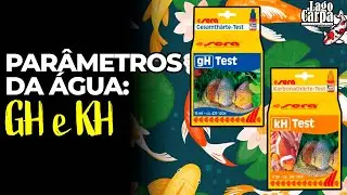 PARÂMETROS DO LAGO - GH e KH - ep.2