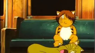 Cat Transformation
